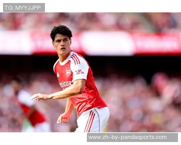 内尔高：当你赢了许多场竞赛之后，工作就会变得更简单